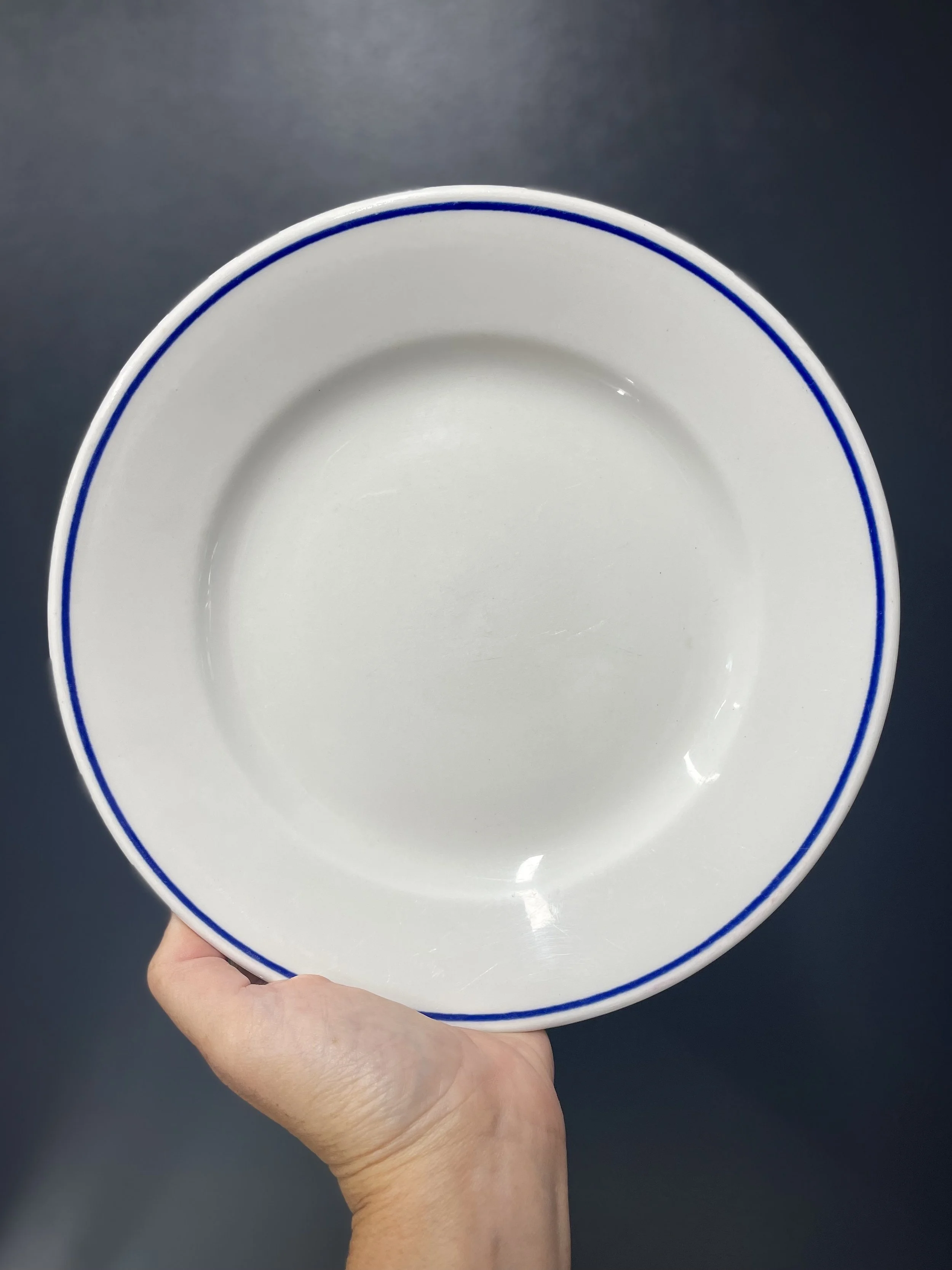 Pyroblan Porcelain Vintage French Dinner Plates - Set of FOUR